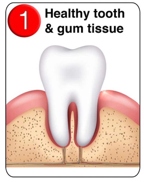 Cornwall Dental